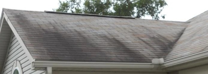 A residential roof with light grey shingles that are streaked and stained by gloeocapsa magma, a blue-green algae that can harm roofing systems.