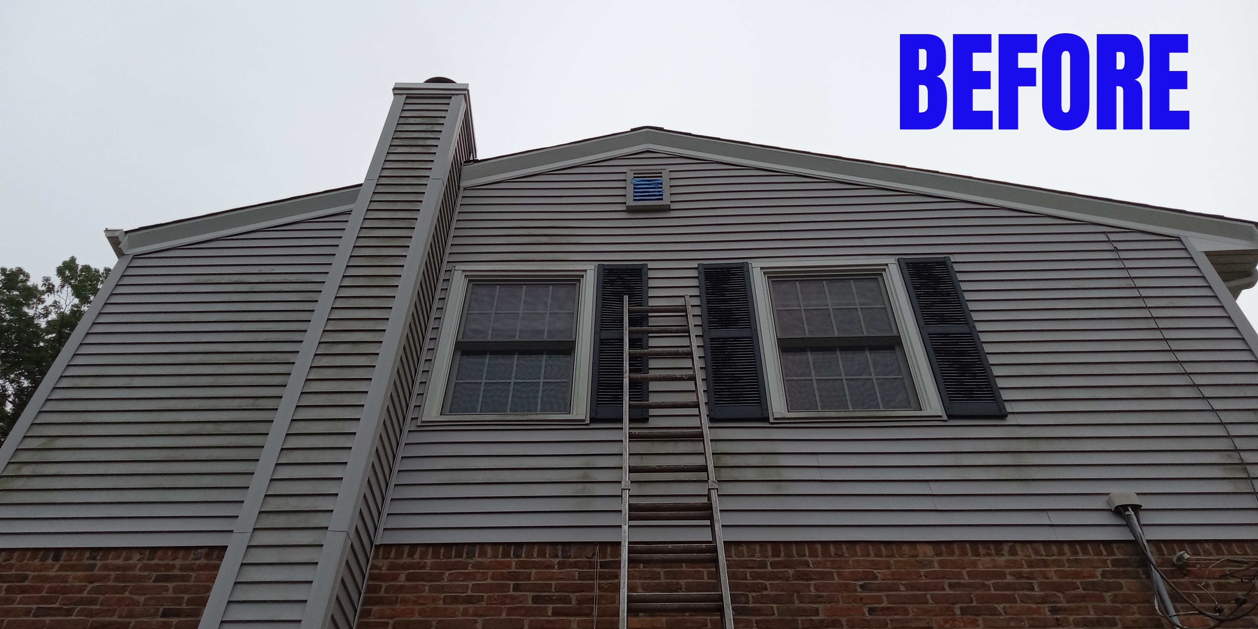 A house with vinyl siding before receiving a soft wash house cleaning. There is heavy algae growth.