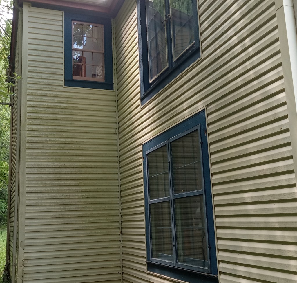 A Pittsburgh-area home with light-colored vinyl siding that is heavily contaminated with algae.