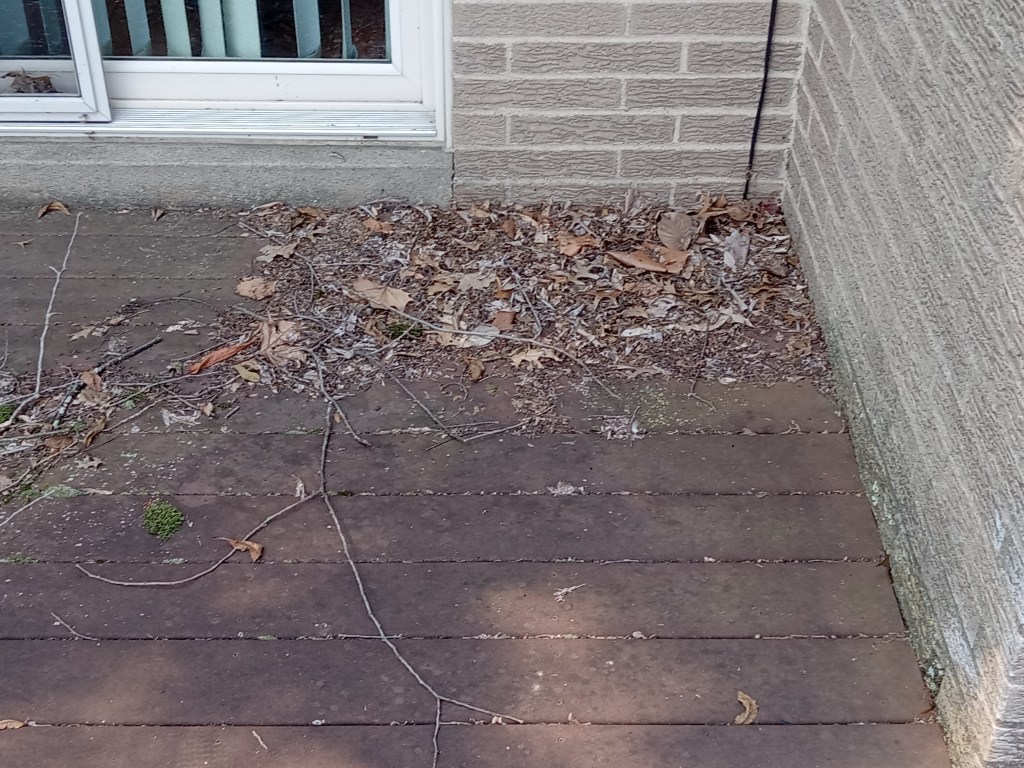 Why Regular Composite Deck Cleaning Matters (And How Pressure Washing Can&nbsp;Help)