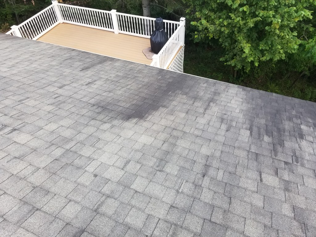 A shingled roof with dark streaks caused by Gloeocapsa magma