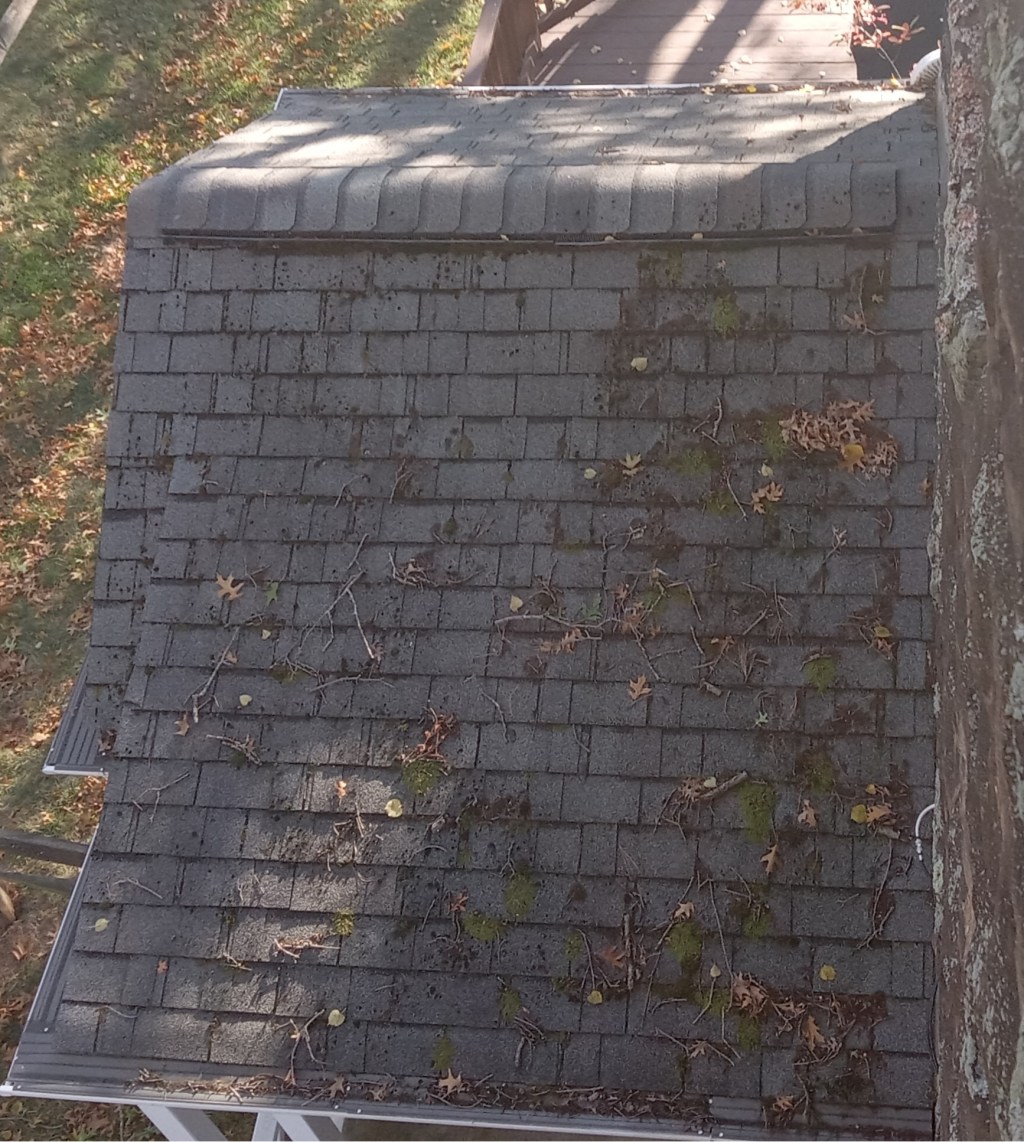 A bird's eye view of a porch roof in the Pittsburgh area with heavy moss and lichen growth.
