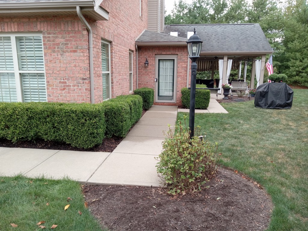 The concrete walkway and entryway of a Pittsburgh-area home after surface cleaning and pressure washing by So Clean Solutions.