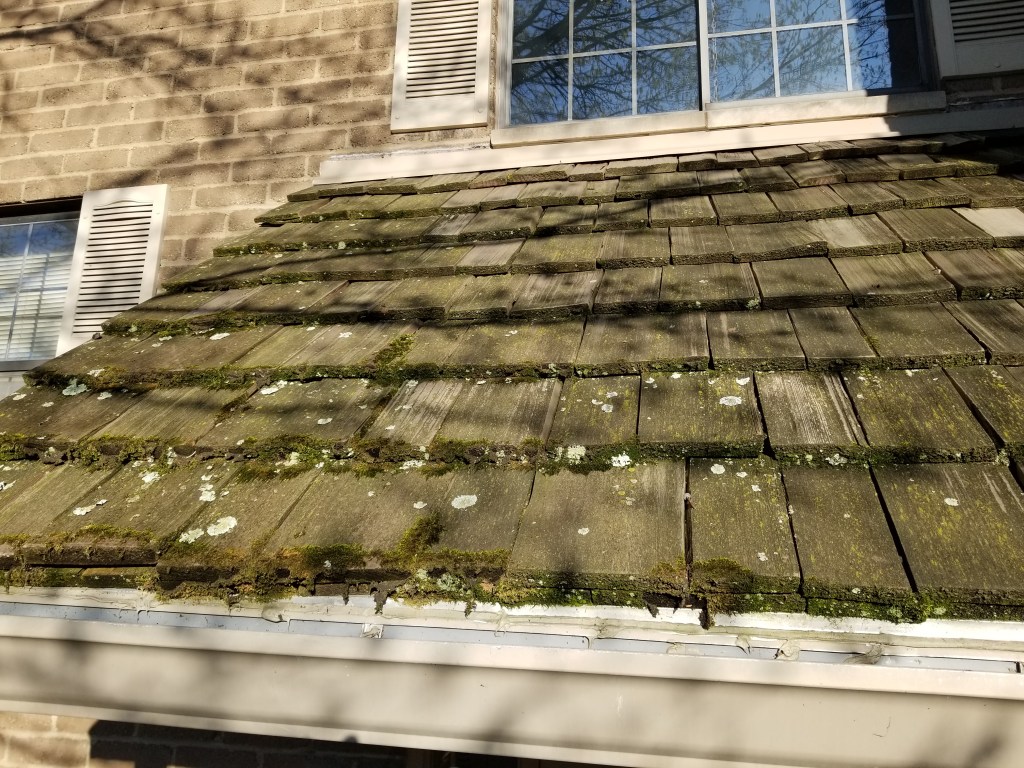 Why Does Roof Moss Keep Coming Back? How Pittsburgh Homeowners Can Stop the&nbsp;Cycle